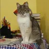 Отзыв от Юлия Капустина